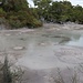 Der mud pool ausserhalb des zahlungspflichtigen Gebiets