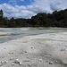 Am Oyster Pool