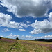 Unterwegs zwischen Žebrácký roh und Pastivny - Rückblick. Der Wald am rechten Bildrand befindet sich in Deutschland.
