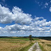 Unterwegs zwischen Nad Křížkem und Bojiště - Nun eine Weile bergab.