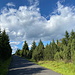 Unterwegs zwischen Moldava und Na Skále - Ein kurzes Stück entlang der Straße (Vitiška - Cínovec). 