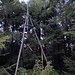 Klínovčík (Keilberg) - Am Achttausender Nr. 15 bzw. 14b (8360 dm). Der „TP“ ist bestens markiert, heute allerdings nur auf einem sehr matschigen Seitenweg erreichbar.
