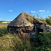 Cínovec (Böhmisch Zinnwald) - An einem alten Bunker, der allmählich in Gras und Büschen "verschwindet".