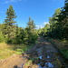 Unterwegs zwischen Vrch tří pánů und Vilejšov - Teilweise ist der Weg (immerhin der "E3") ziemlich feucht (um nicht schlammig zu sagen ;-).
