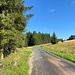 Unterwegs zwischen Vilejšov und Fláje - Zur Abwechslung wird die Straße nun wieder verlassen. Der Abzweig nach links (und das Kreuz am Straßenrand) sind mit Fantasie zu erahnen.