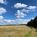 Unterwegs bei Oldřiš - Blick aus der Nähe des Trafos am Waldrand entlang. Nördlich (links) davon erstreckt sich der Oldřišský vrch.