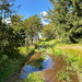 Unterwegs zwischen Oldřišský vrch und Sklářský vrch - Am unscheinbaren Liščí vrch (Fuchshügel) wurde die Straße verlassen. Der Waldweg ist heute leider ziemlich "feucht".