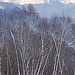 Monte Legnone