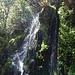 Moosige Dusche