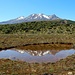 Rotokawa