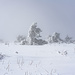Viele Momente des Staunens (ich schreib hier aus der Sicht des Fotografierenden, für die alten Bergsteiger-Hasen unter den Hikrn ist so eine Stimmung ja nix besonderes mehr). 