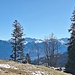 Falknis- und Schesaplana-Massiv im Südosten