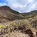 Dann tauchen wir ein in die karge Landschaft des Barranco. Oben ist die Radarstation auf dem Penas del chache schon zu sehen...