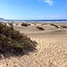 Die herrliche Dünenlandschaft des Famara-Strandes.