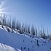 Waldbrandzone