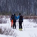 Wir folgen dem linken Tal Richtung Mt. Robertson - flach