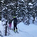 Start im Wald
