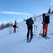 Waldgrenze
