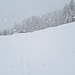 <b>Raggiunta, con gli sci in spalla, la strada del Passo Gavia, calzo gli attrezzi e mi avvio ai lati della carreggiata, perfettamente innevati.</b> 