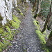 wieder offizieller Wanderweg wrw markiert