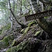Località Sciarscinada
Da Pratella si fa 1km di sentiero in lieve salita (+100mt) poi da qui si sale molti ripidi su costone per 200mt di dislivello