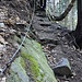 Sentiero attrezzato Pratella - Rifugio Il Biondo (loc. Prà Baffone)