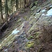 Incontrando neve dura e ghiacciata, mettiamo i ramponcini