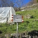 Qui si raggiunge la strada, e da qui si scende seguendo l'asfalto