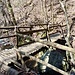 Ponte sul torrente Seppino