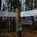 Wegweiser am Zollstock