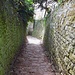 Vom Philosophenweg stiegen wir über den Schlangenweg zur Alten Brücke ab. Diese führt über den Neckar direkt in die Altstadt.