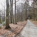 Unterwegs zum Heiligenberg