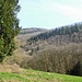 Unterwegs auf dem Philosophenweg