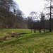 Mausbachwiese