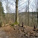 Aufstieg zum Heiligenberg