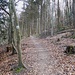 Aufstieg auf dem Breitwaldfußweg zum Zollstock