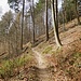 Von der Mausbachquelle folgt man dem Mausbach-Fußweg bis zum Stickelsplatz