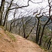 Abstieg zum Oberen Philosophenweg