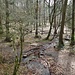 Unterwegs im Siebenmühlental zum Turnerbrunnen