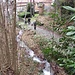 Ritornati nella parte alta di Ronco Inferiore, abbiamo trovato il sentiero che seguiremo lungamente verso Omegna.