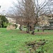 Da Pettenasco, tra vicoli e viuzze, scendiamo verso il lago passando da Carcegna (qui il Parco di Villa Nigra) e Miasino.