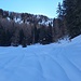 Procediamo dritti da qui fino al bosco poi a sinistra svolgendo un lungo traverso