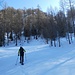 Bisogna andare tra gli alberi e prendere una dorsale che sale a dx
