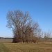 Müdisdorfer Kunstgraben, Menden Rösche, Lichtloch