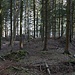 Müdisdorfer Rösche, Lichtloch (2)