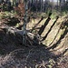 Müdisdorfer Rösche, Lichtloch (3)