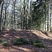 Müdisdorfer Rösche, Lichtloch (5)