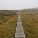 Treppen im Nebel