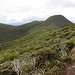 Kleine Hütte am Abzweig des Ahukawakawa Tracks
