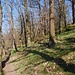 auf dem Weg zum Felsenberg